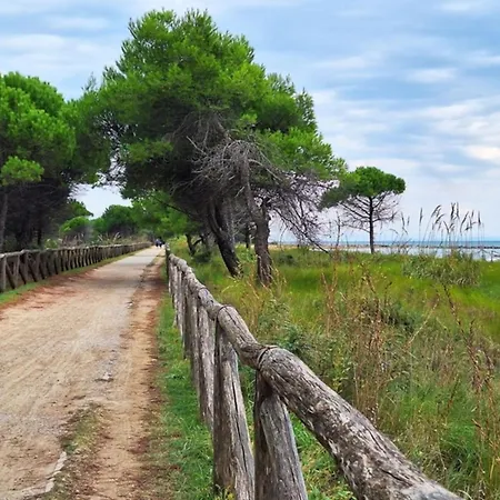 Apartman Peaceful Seaside Apartment-beahost